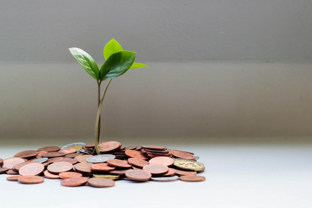A photo of a stack of coins with a green plant growing out of the top, representing the growth and earnings potential of REITs investments.